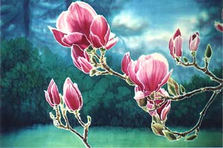 Tulip Magnolia (detail)