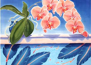 Orchids on the Ledge