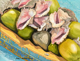 Conch Shells and Coconuts
